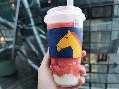 -春丽小马(济南恒隆广场店)