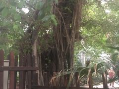 -龙达温泉生态城