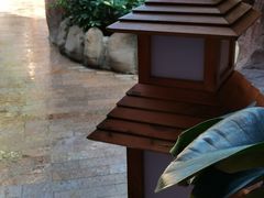 -泉眼温泉