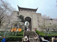 -武汉大学-樱园