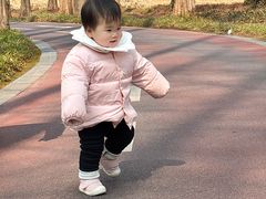 -黄海国家森林公园