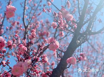 春天如约而至啦,每年必去奥体踏青,地方大,休闲运动氛