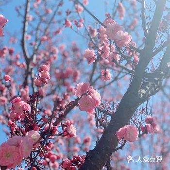 春天如约而至啦，每年必去奥体踏青，地方大，休闲运动氛