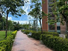 -香港大学