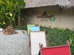 -大象粑粑造纸公园