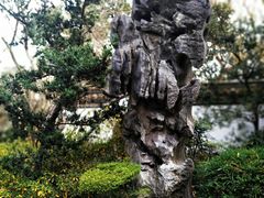 -汇龙潭