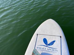 -WhaleSports户外水上运动俱乐部(朝阳公园店)