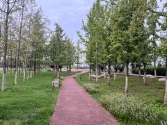 -汉长安城未央宫国家考古遗址公园