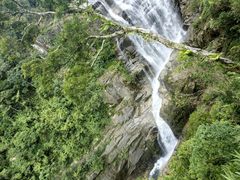 -海南热带雨林国家公园吊罗山景区