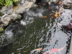 -西林禅寺