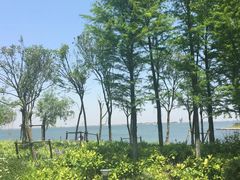 -上海滴水湖皇冠假日酒店