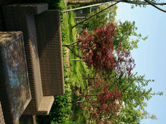 android_upload_pic-陕西汤峪会议中心温泉酒店