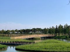 -春花秋色城市公园