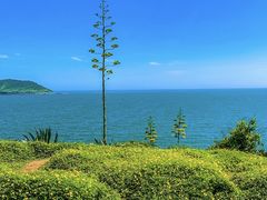 -漳州滨海火山岛自然生态风景区