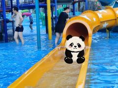 -武汉市青少年宫水上世界