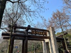 -杭州植物园
