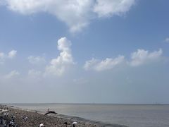 -东堤公园