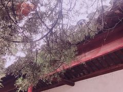 -苏州碑刻博物馆