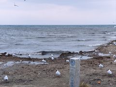 -青海湖二郎剑景区