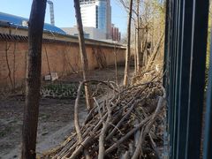 -北极寺公园