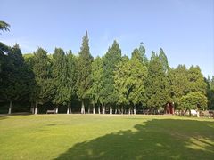 -瀛洲公园