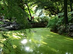 -上海海湾国家森林公园