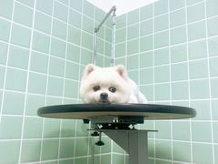 -哈尼爱宠·宠物生活会馆