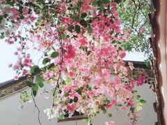 -深圳国际园林花卉博览园