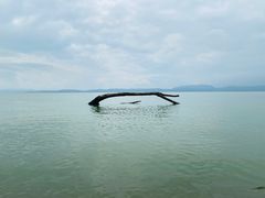 -捞渔河湿地公园