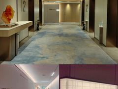 -深圳国际会展中心希尔顿酒店(前海华发冰雪世界店)