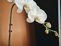 -浩运·海鲜青岛菜·海胆水饺(石老人店)