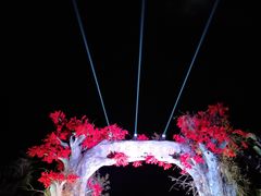 -天适樱花悠乐园