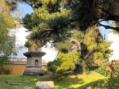 -龙华寺