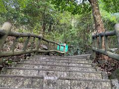 -银瓶嘴森林公园