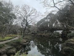 -秋霞圃