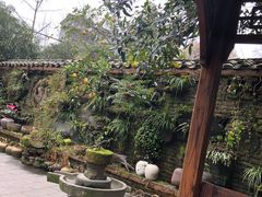 -青城甲(青城山店)