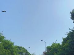 -都江堰中华大熊猫苑