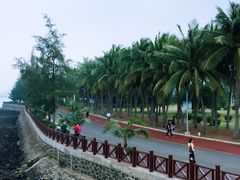 -万绿园