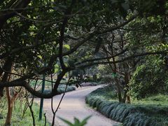 -杭州植物园