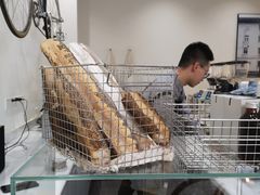 -常识咖啡common sense(春熙路店)