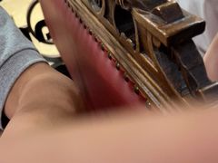 -新白鹿餐厅(百联中环店)