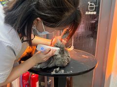 -宠物家(角门东店)