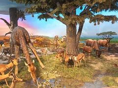 -国家自然博物馆