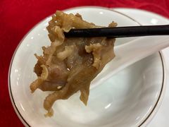 -姚林轩