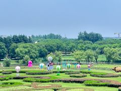 -东方绿舟景区