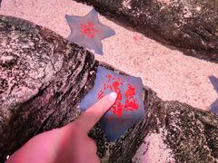 -沈阳海洋探索中心