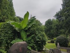 -东湖落雁景区