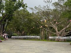 -云溪植物园