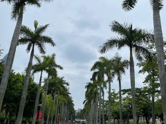 -厦门大学(思明校区)