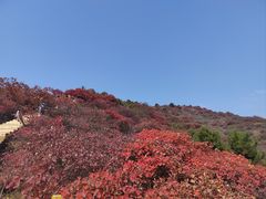 -水峪民俗村